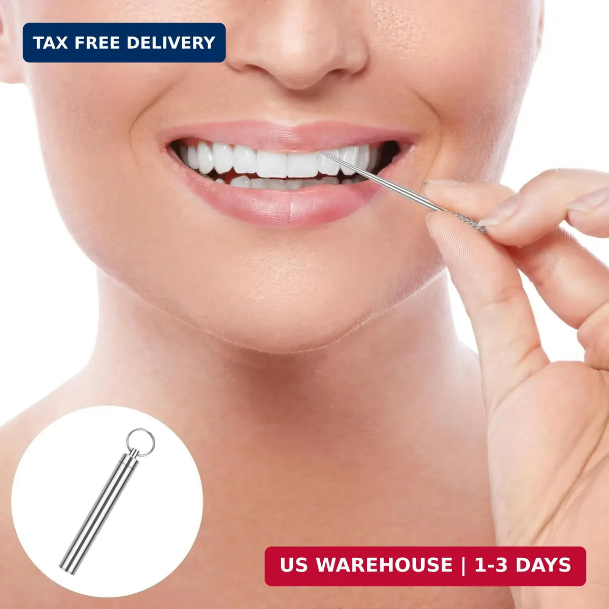 Reusable Metal Toothpicks with Waterproof Case - Portable Stainless Steel Dental Picks