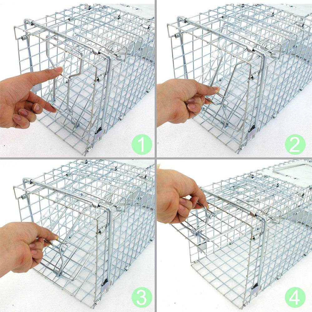 24-Inch Humane Live Animal Trap Cage for Small Animals, Raccoons, Foxes
