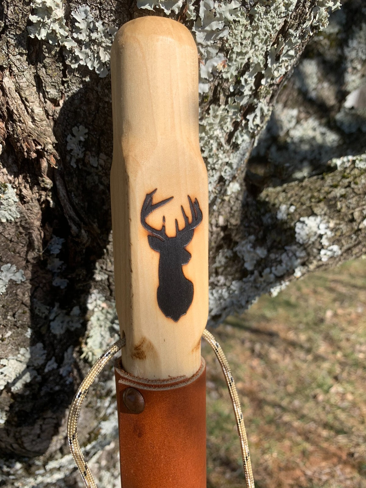 Hand Carved Wooden Hiking Stick with Natural Earth Tones and US Craftsmanship