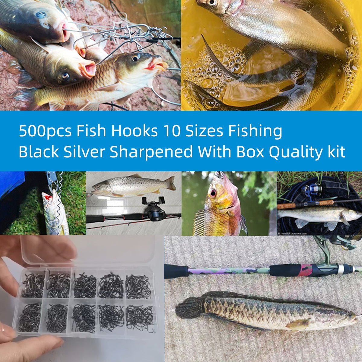 500 Pcs Fish Hooks Set - 10 Sizes Sharpened Fishing Hooks in Storage Box
