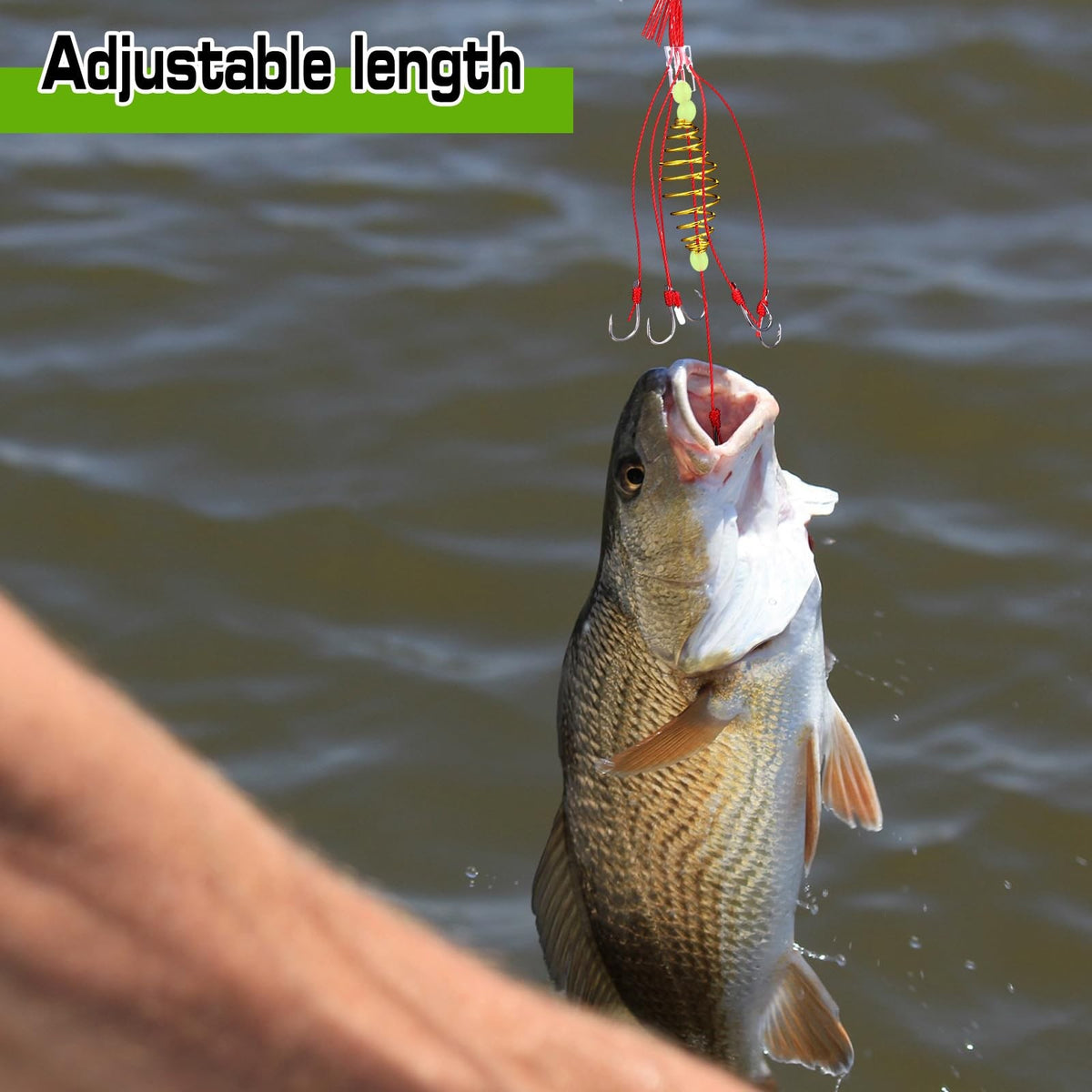 9 Pcs Carp Fishing Hooks Kit with Spring Bait Trap Rig and Durable Steel Tackle