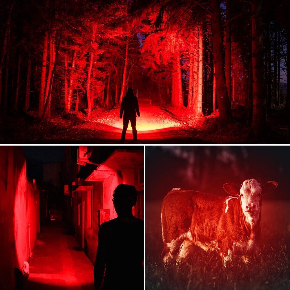 Mini Red Light LED Flashlight with Zoom, 3 Modes, Waterproof, Emergency Use