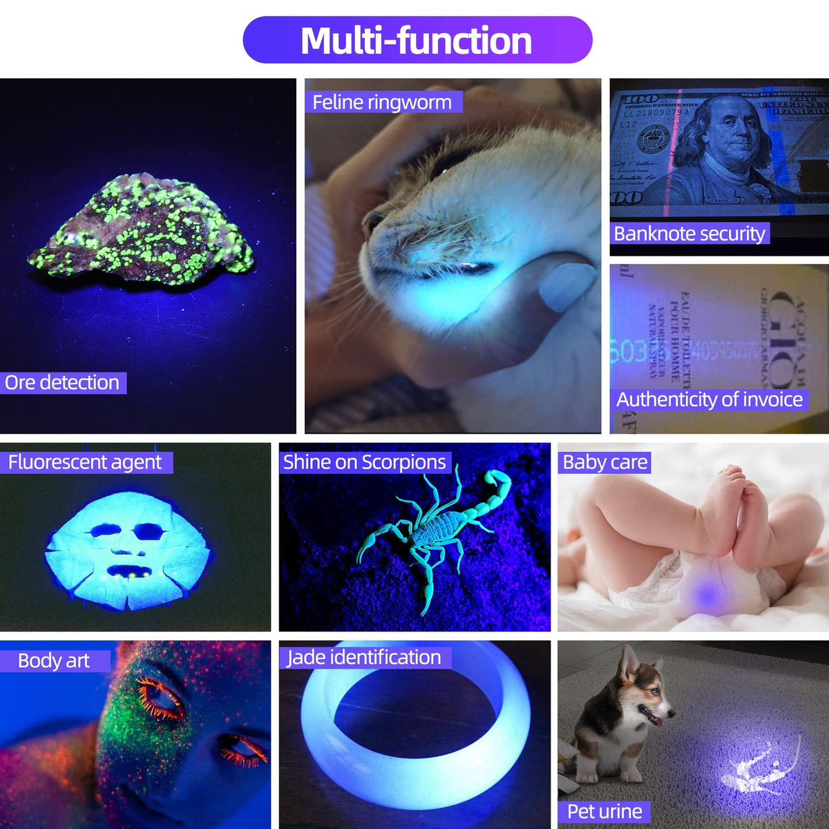 Rechargeable UV 365nm Black Light Flashlight for Detection and Scavenger Hunts