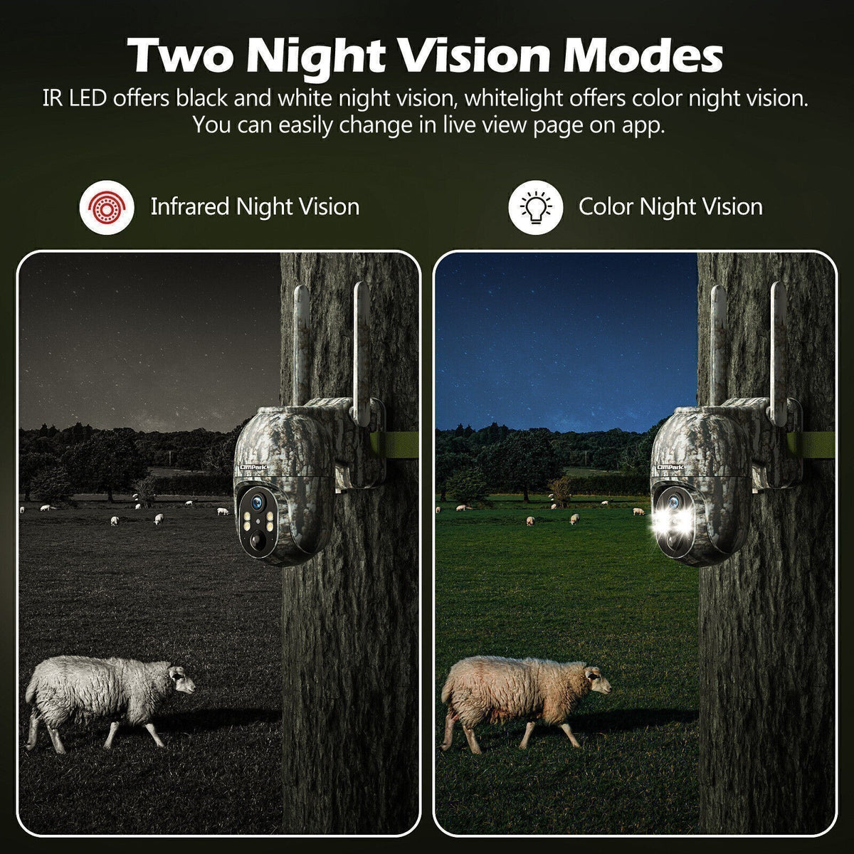 Solar Powered 4G LTE Trail Camera with Night Vision & SIM Card - 2 Pack