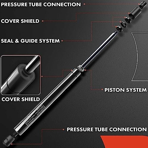 Rear Tailgate Lift Supports Shock Struts for Toyota Prius V 2012-2018 - Set of 2