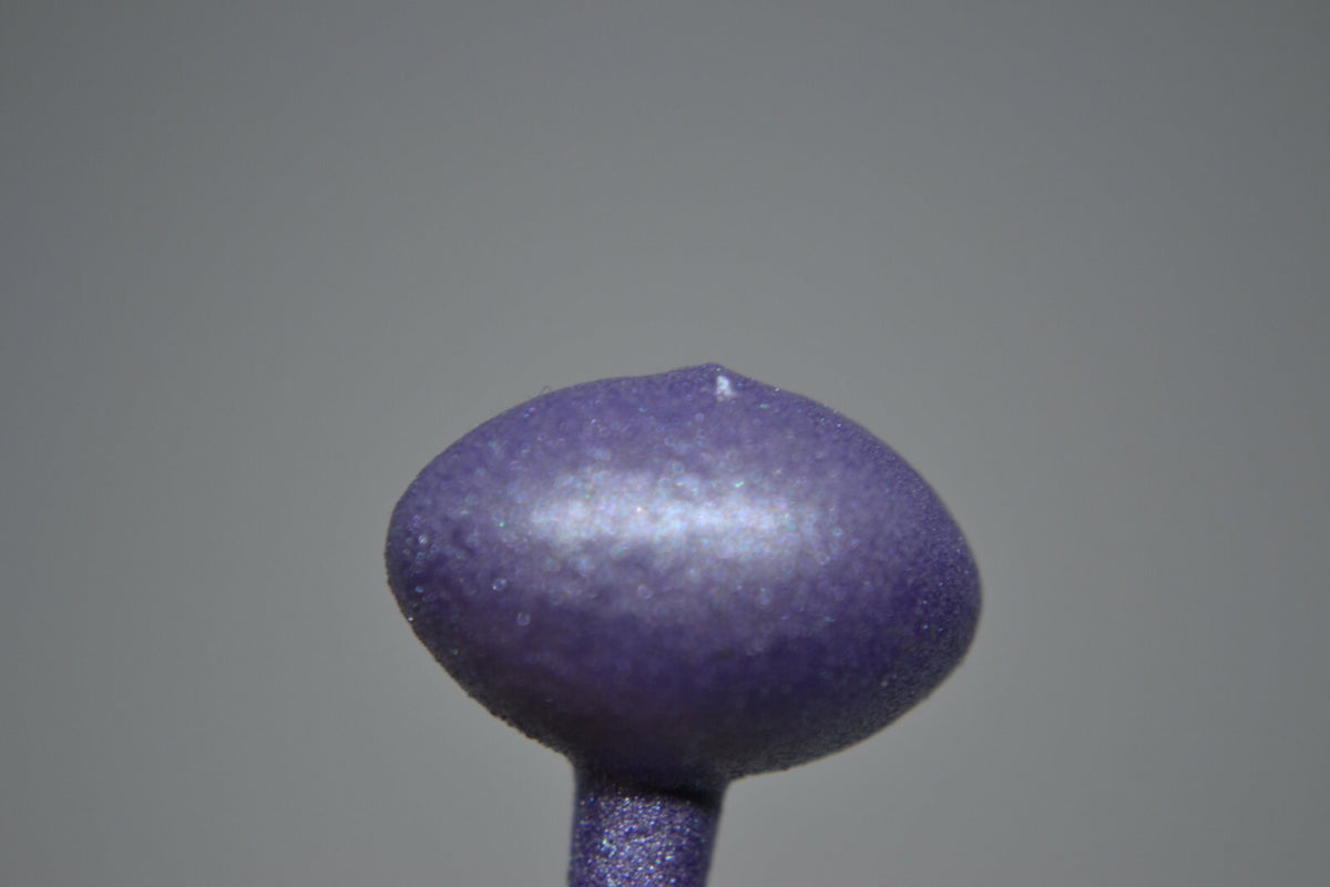 Powder Paint 3oz Jar for Jig Heads and Lures - Multiple Colors