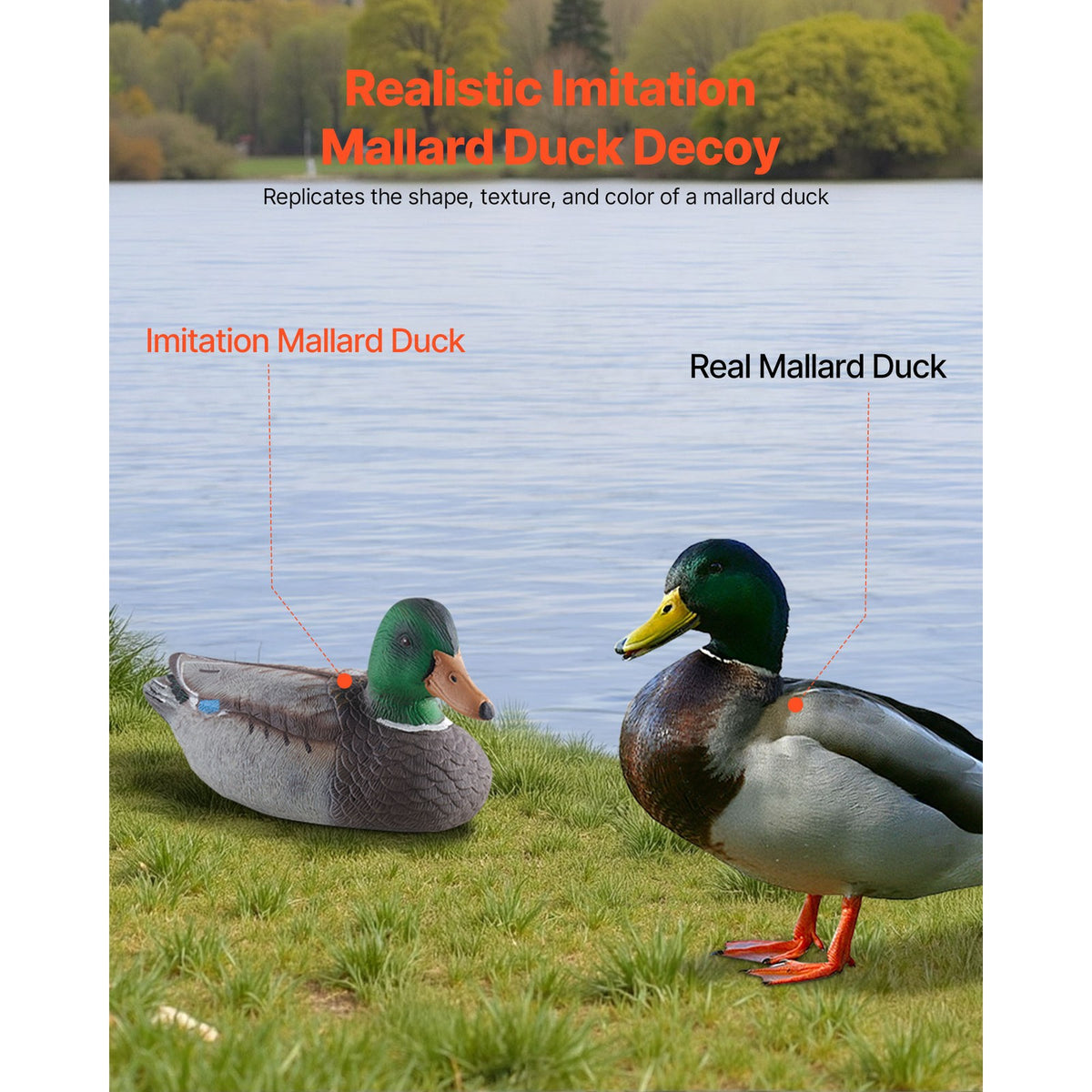 Outdoor Duck Decoy 6-Pack - Realistic Floating Hunting Decoys