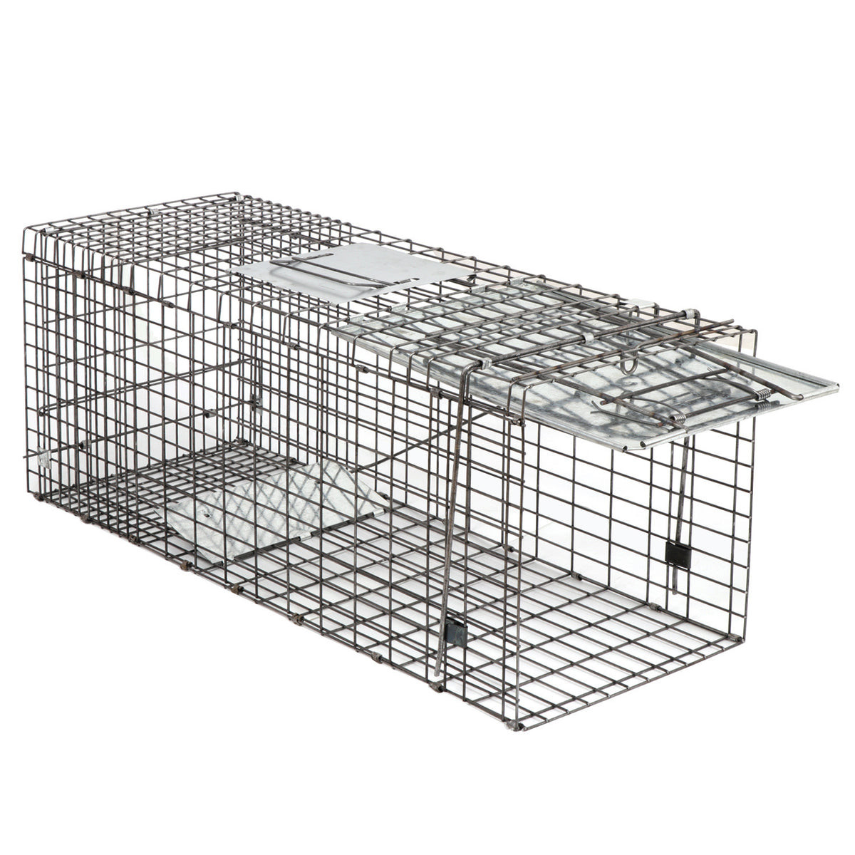 Live Animal Cage Trap 32 x 12.5 x 12 Inches Humane Rodent Raccoon Trap