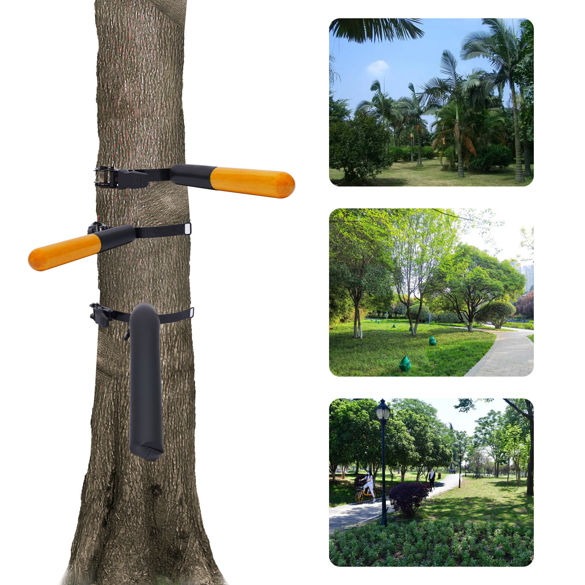 Wall-Mounted Wooden Dummy Arm & Leg for Wing Chun Kung Fu Training