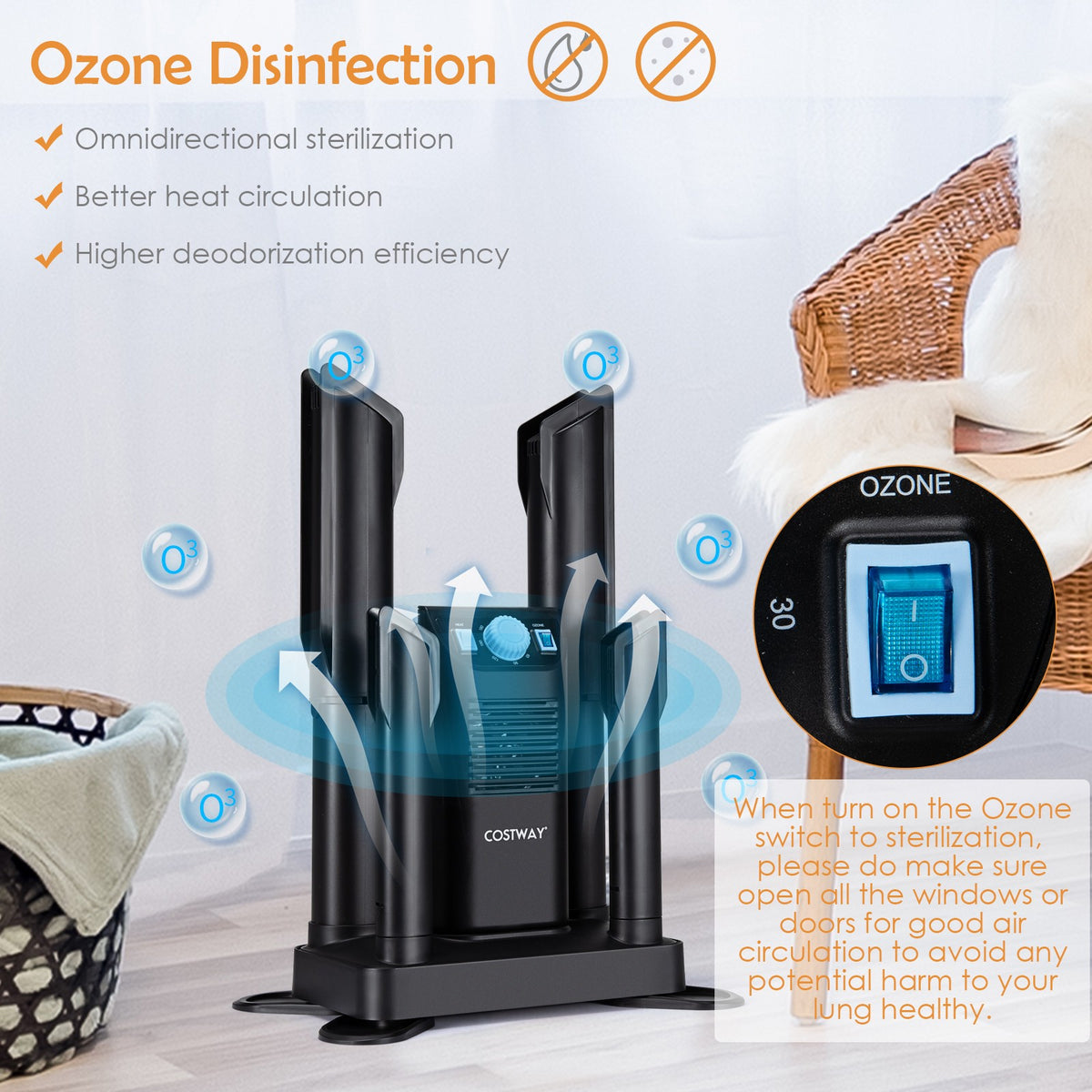 Electric Shoe Dryer with Ozone Deodorizer, 4 Shoe Capacity, Timer, Black