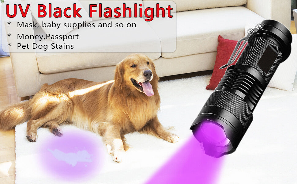 UV Ultraviolet Flashlight 365nm Black Light for Pet Stains Detection Waterproof