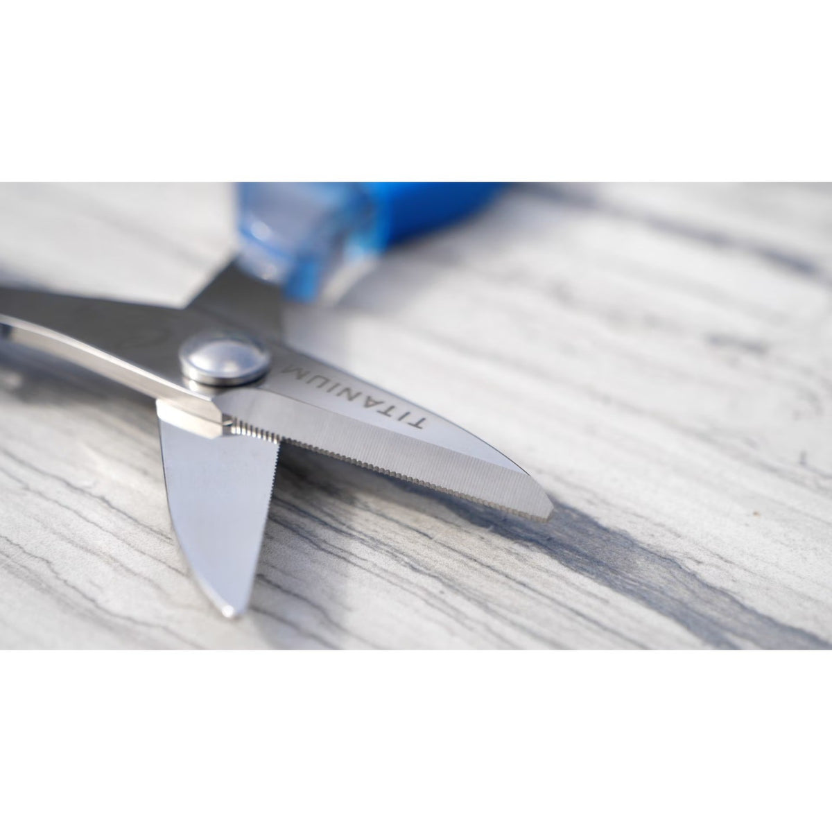 Fishing Line Cutter Shears - Stainless Steel Braid & Mono Line Snips
