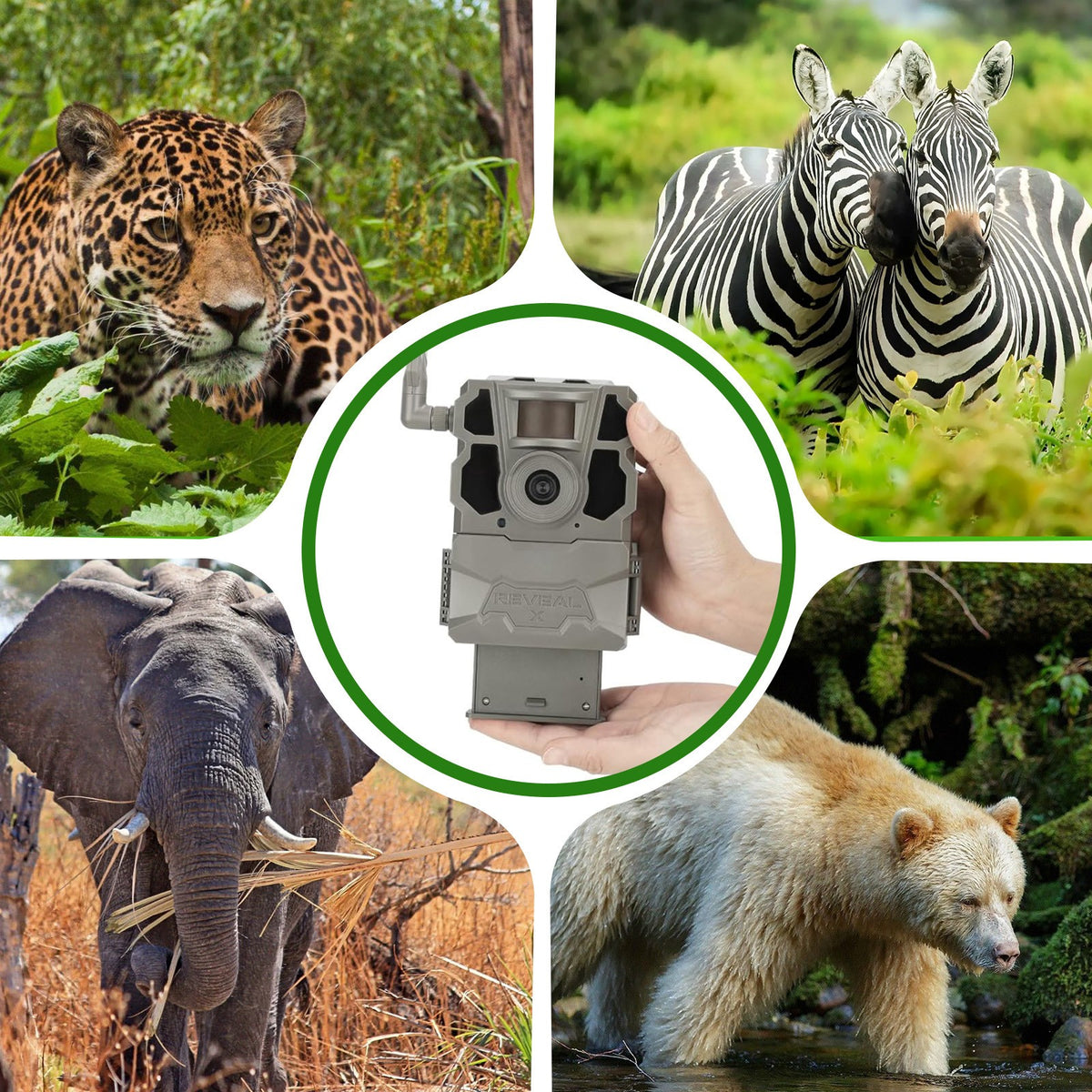 4 Pack High-Capacity 7000mAh Camera Batteries for Trail & Hunting Cameras