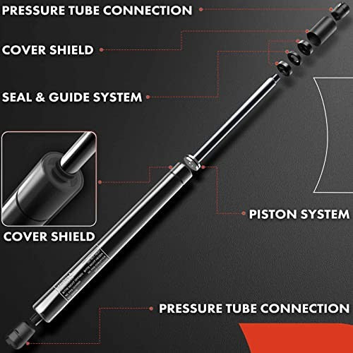 BMW E46 Rear Trunk Lift Supports Shock Struts 2-Piece Set Replacement