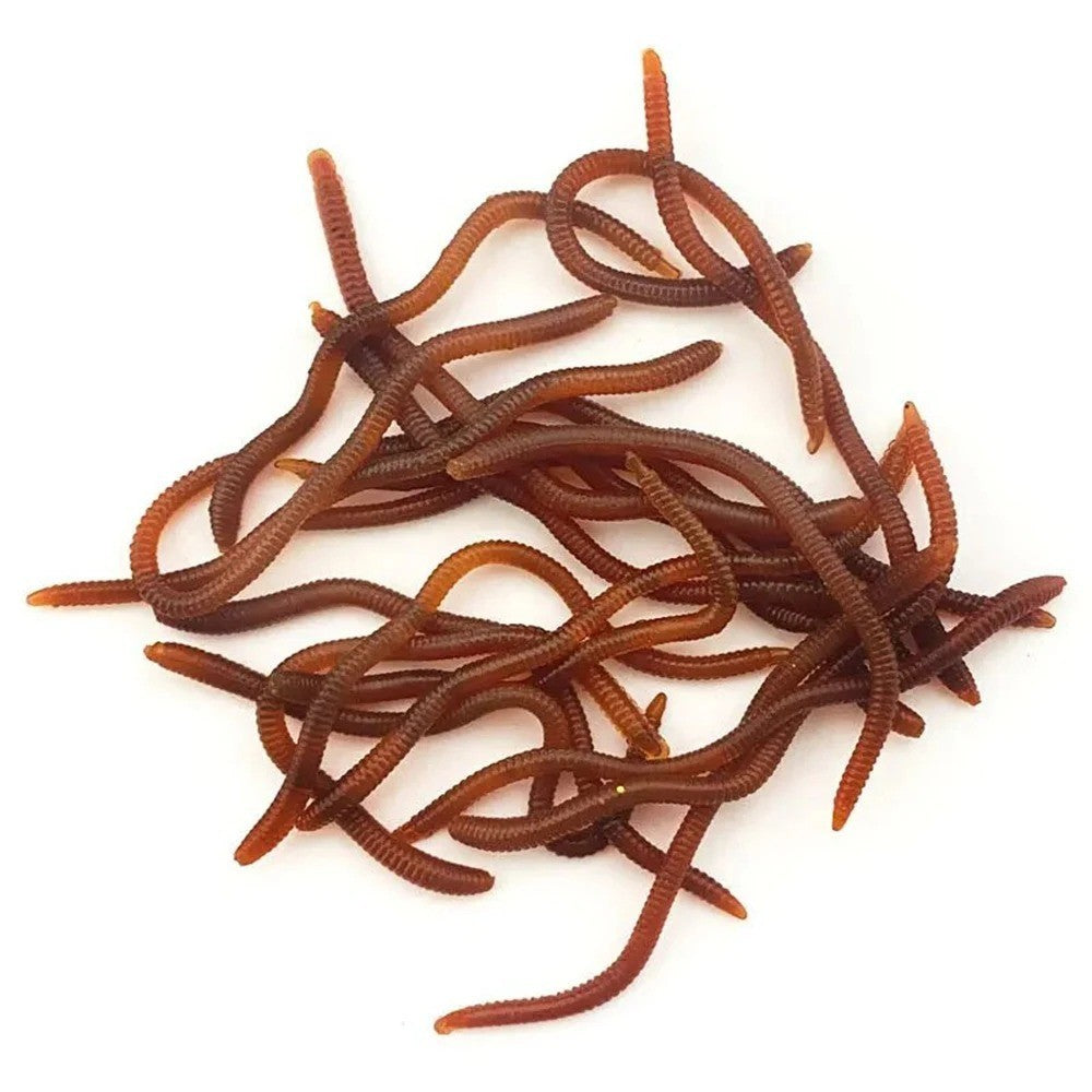 20 Pcs Soft Plastic Fishing Worms Lifelike Red Earthworm Baits