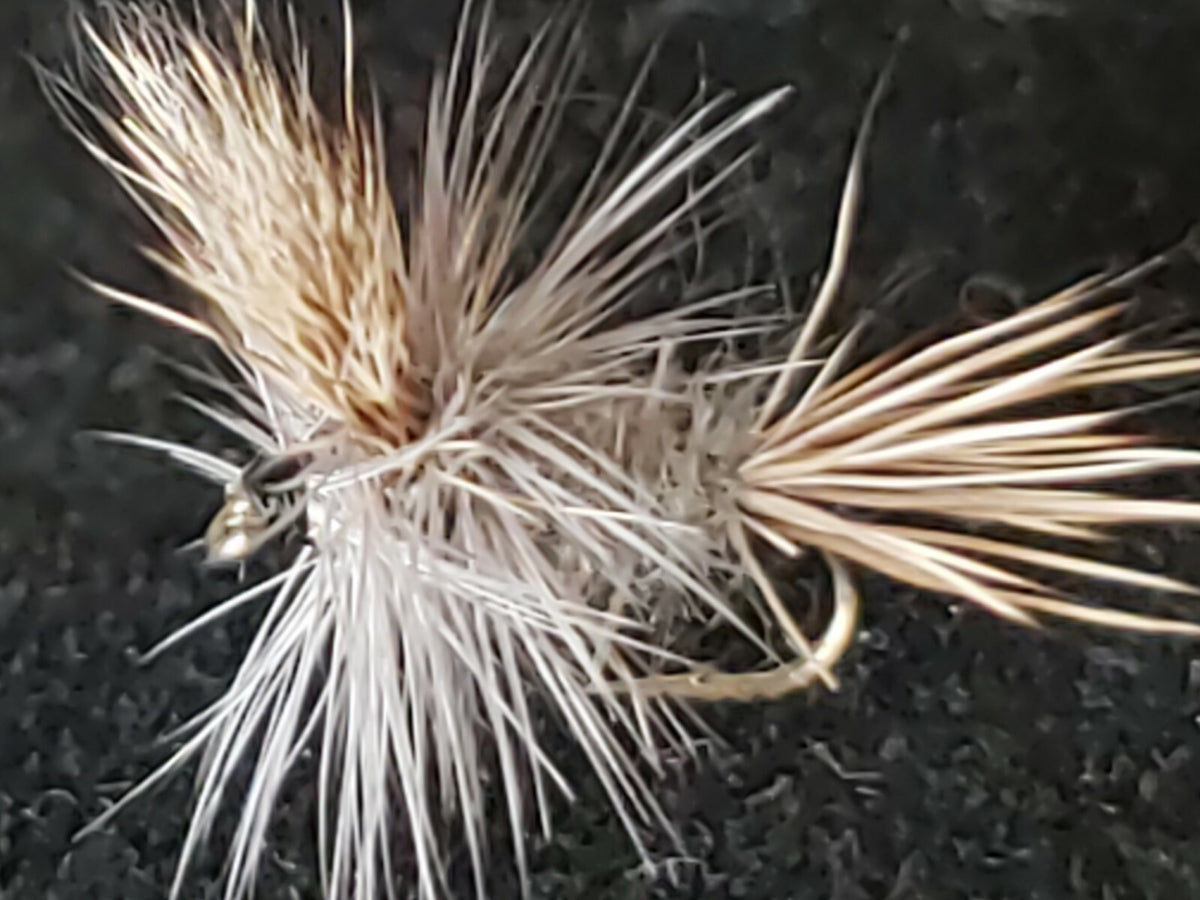 Fly Fishing Flies Grey Wulff Size 14 Dry Frontier Attractor Pattern - 1/2 Dozen