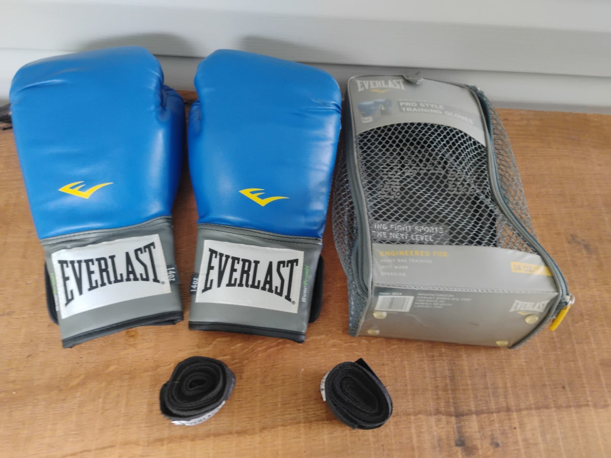 Everlast 2214 Pro Style Blue Boxing Training Gloves 14 oz with Carrying Case