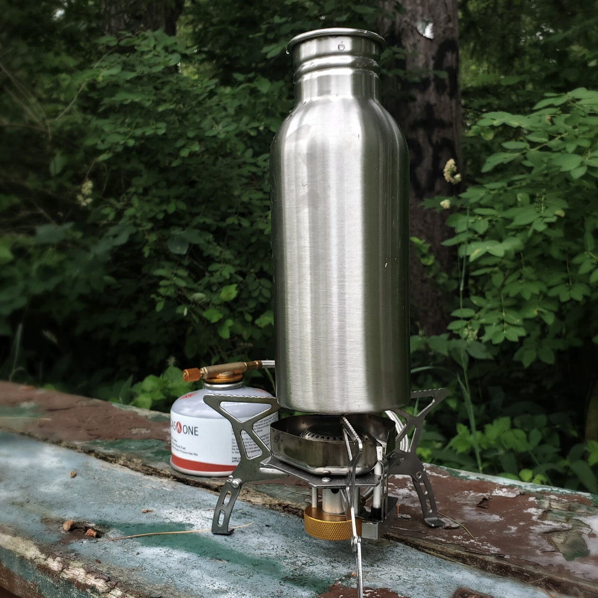 17oz Stainless Steel Water Bottle with Leakproof Cap for Camping & Hiking