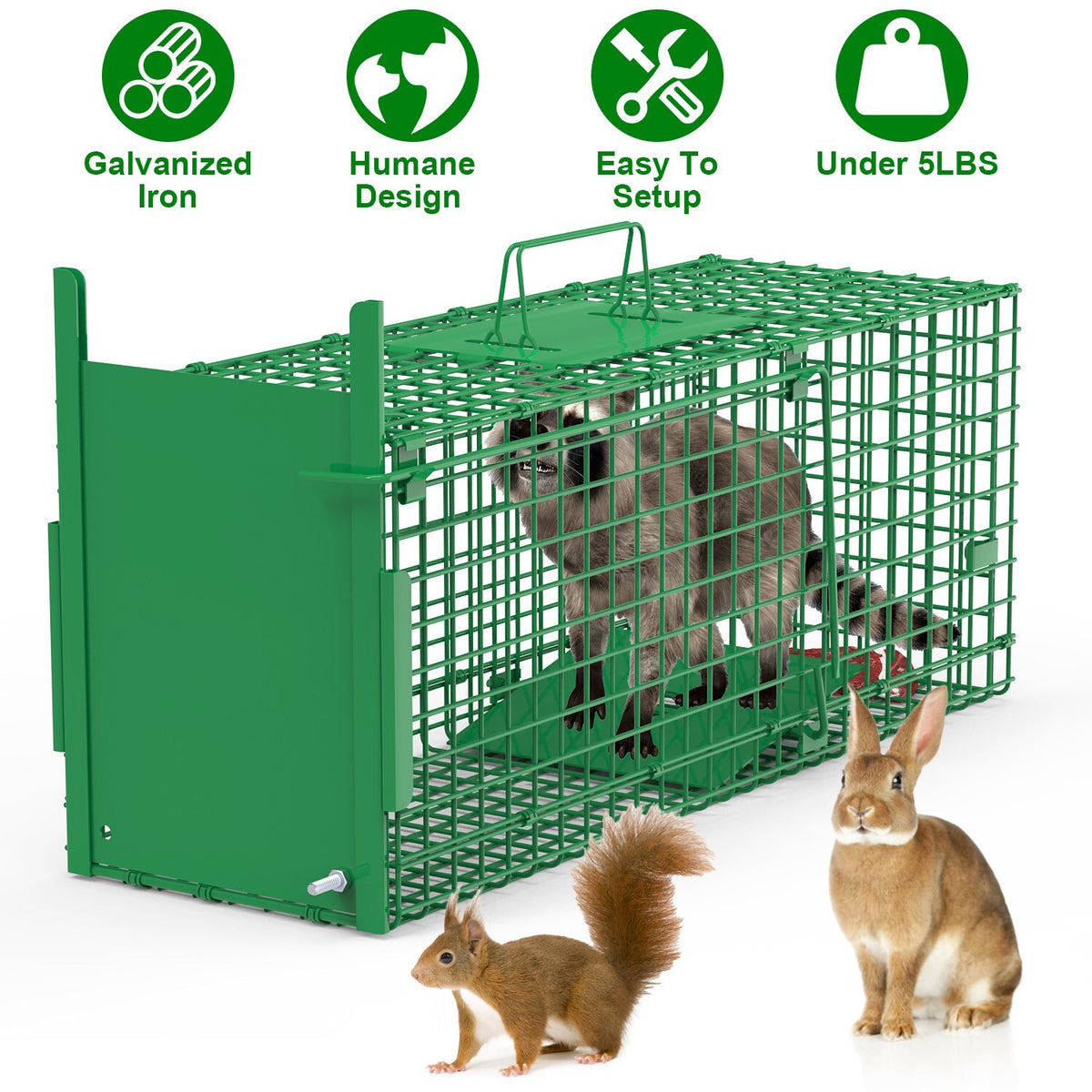 Heavy Duty Humane Animal Cage Trap for Raccoons Cats & Wildlife