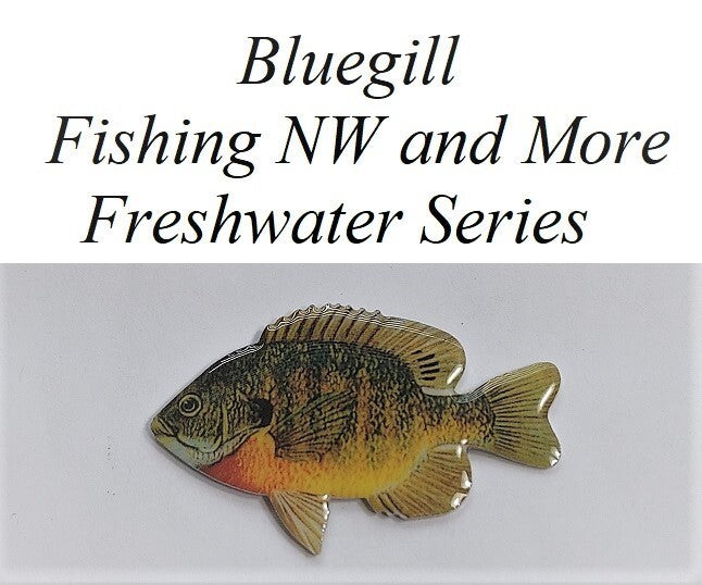 Walleye Fish Pin - Outdoor Enthusiast Lapel or Hat Badge