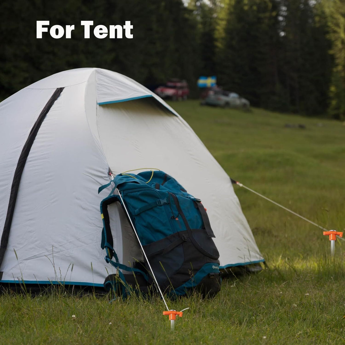 Heavy Duty Tent Stakes 10 Inch Metal Ground Pegs for Camping & Outdoor