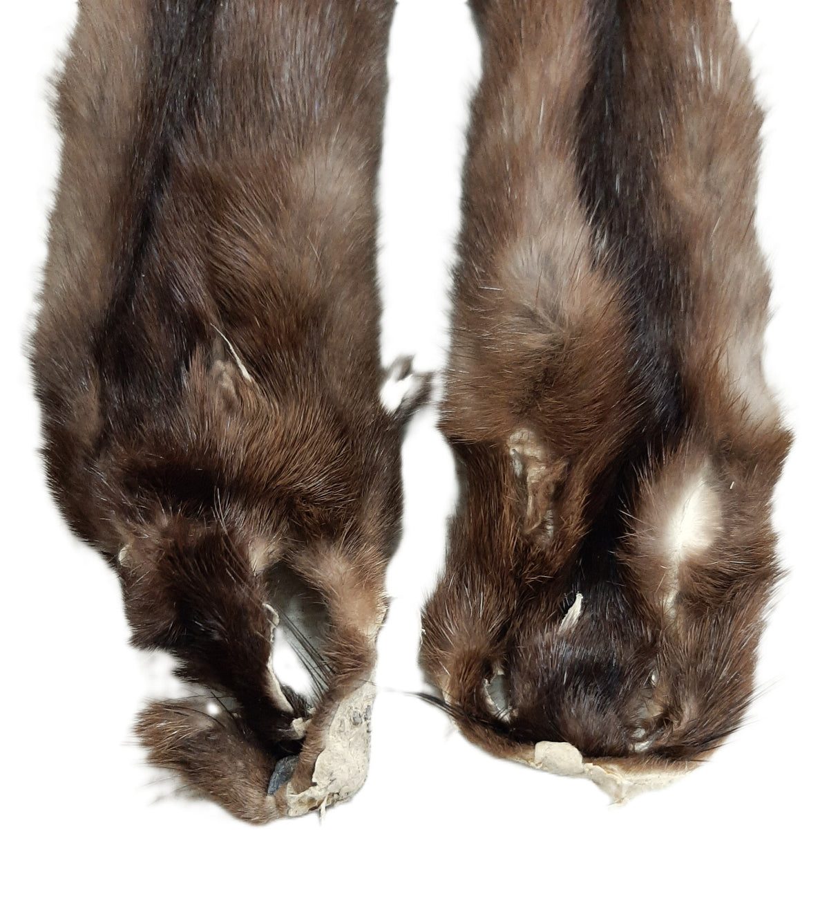 Female Wild Mink Pelt - Soft, Tanned Fur with Multiple Grade Options