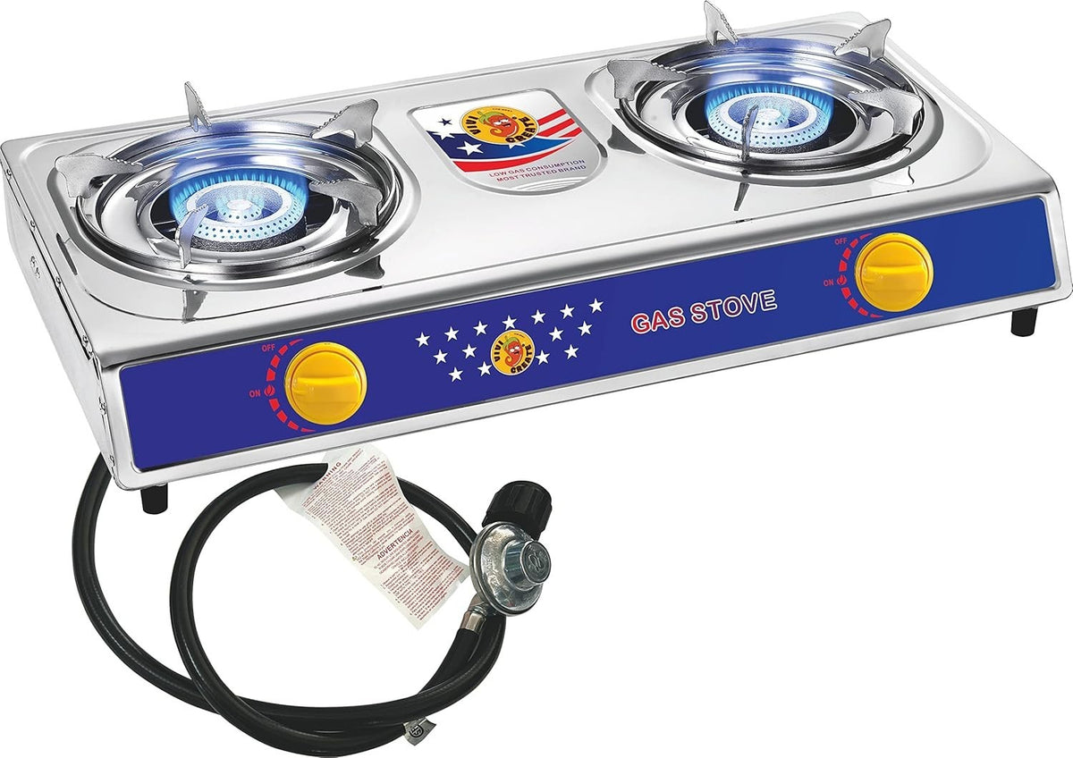 Portable Gas Camping Stove with 2 Burners, Auto Ignition, Stainless Steel