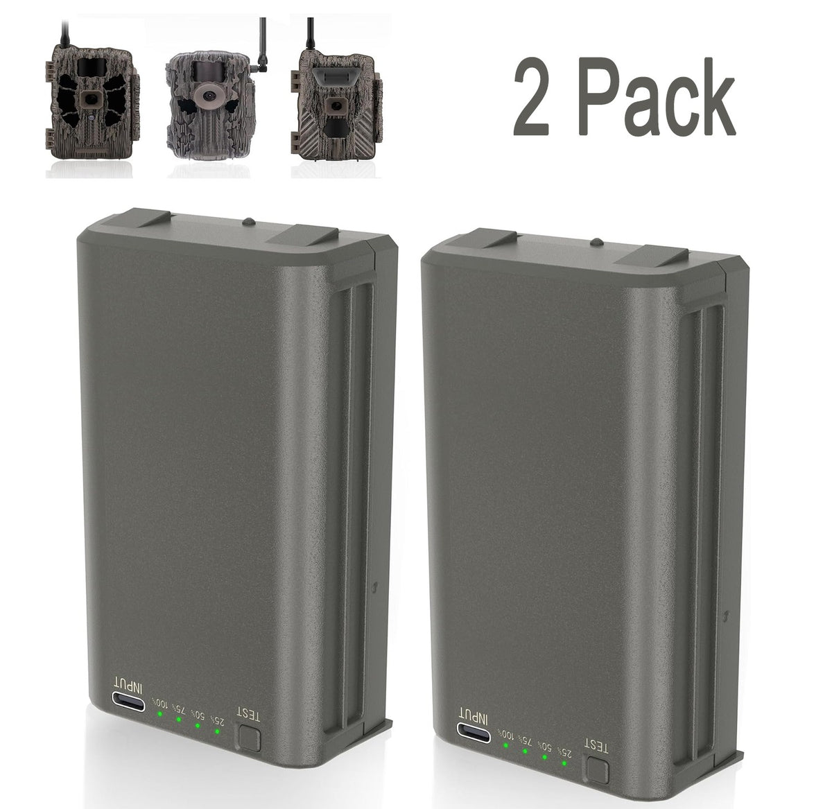 Rechargeable 6000mAh Battery Pack for Trail Cameras - 2 Pack