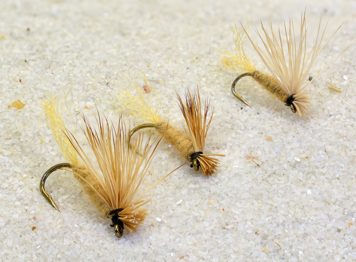 12 Flies -X Caddis Dry Fly - Tied Mustad Signature Fly Fishing Hooks - Assorted Sizes