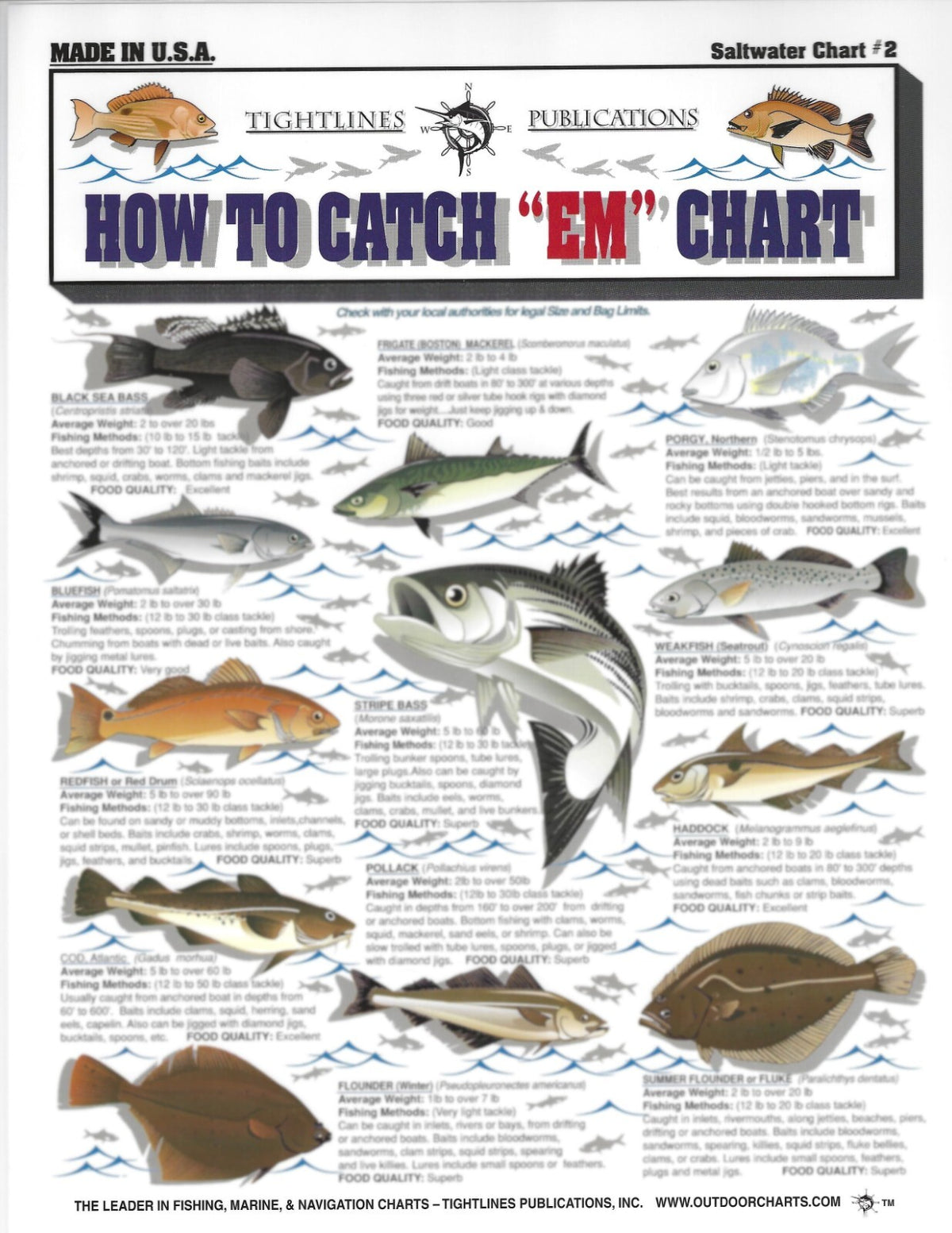 Saltwater Fish Identification Set Waterproof Quick Reference Guide for Anglers