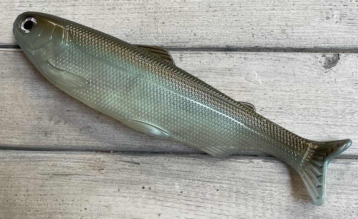 8-Inch Wedge Tail Soft Plastic Fish Bait - Green Gizzard Shad