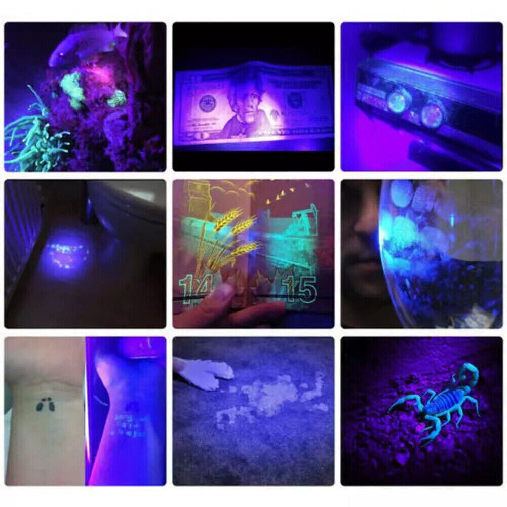 UV Blacklight Flashlight 395nm Handheld UV Pen Light for Insect Detection