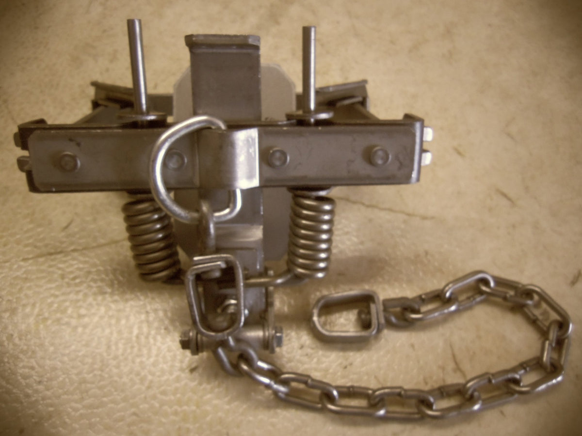 6 Pack Heavy Duty Offset Dogless Coil Spring Traps for Coyote Fox Bobcat Hunting