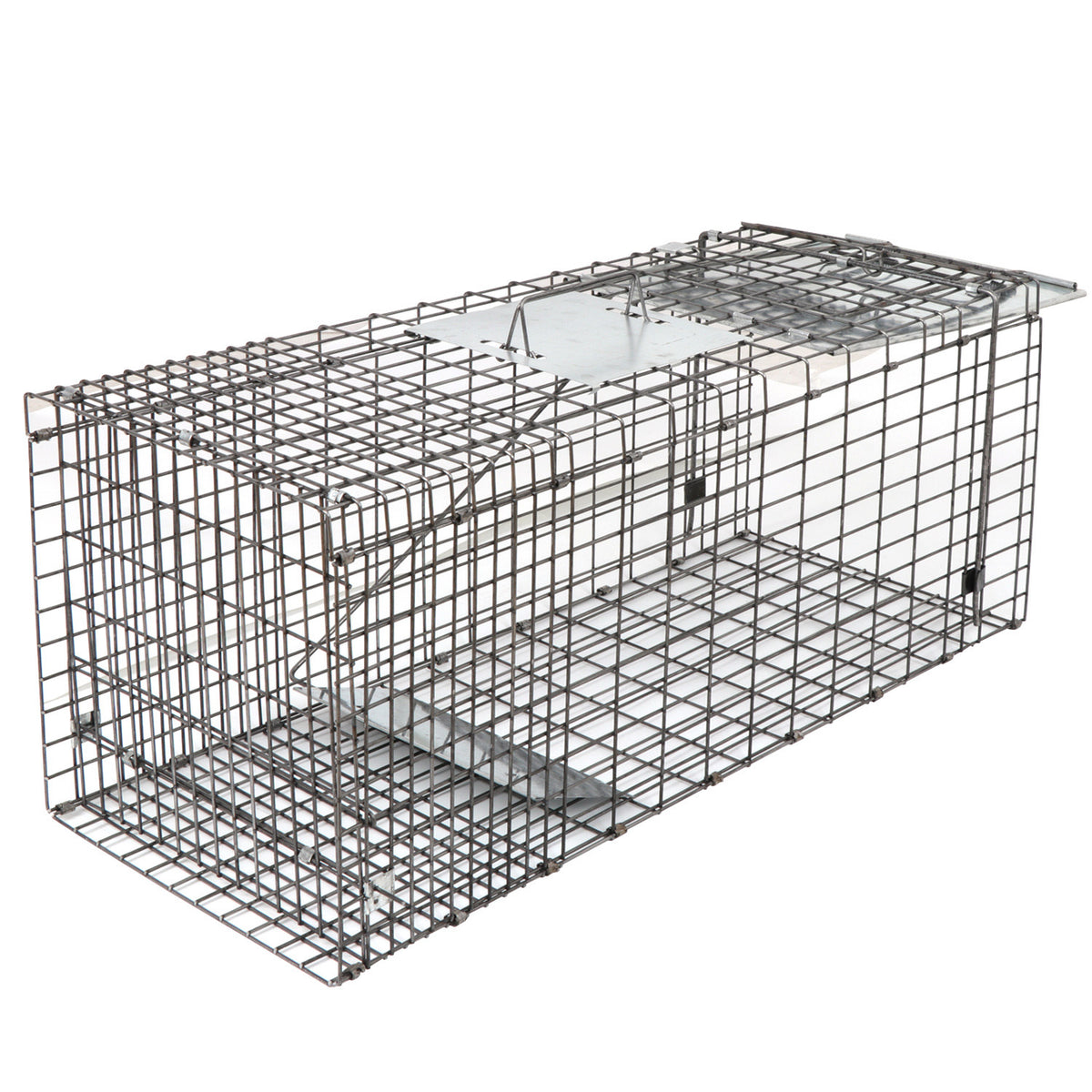 Live Animal Cage Trap 32 x 12.5 x 12 Inches Humane Rodent Raccoon Trap