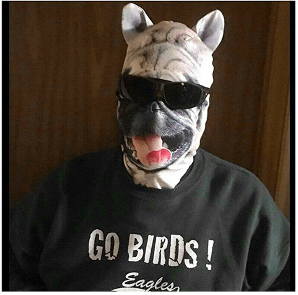 Full Face Mask Balaclava with Animal Ears for Outdoor Activities