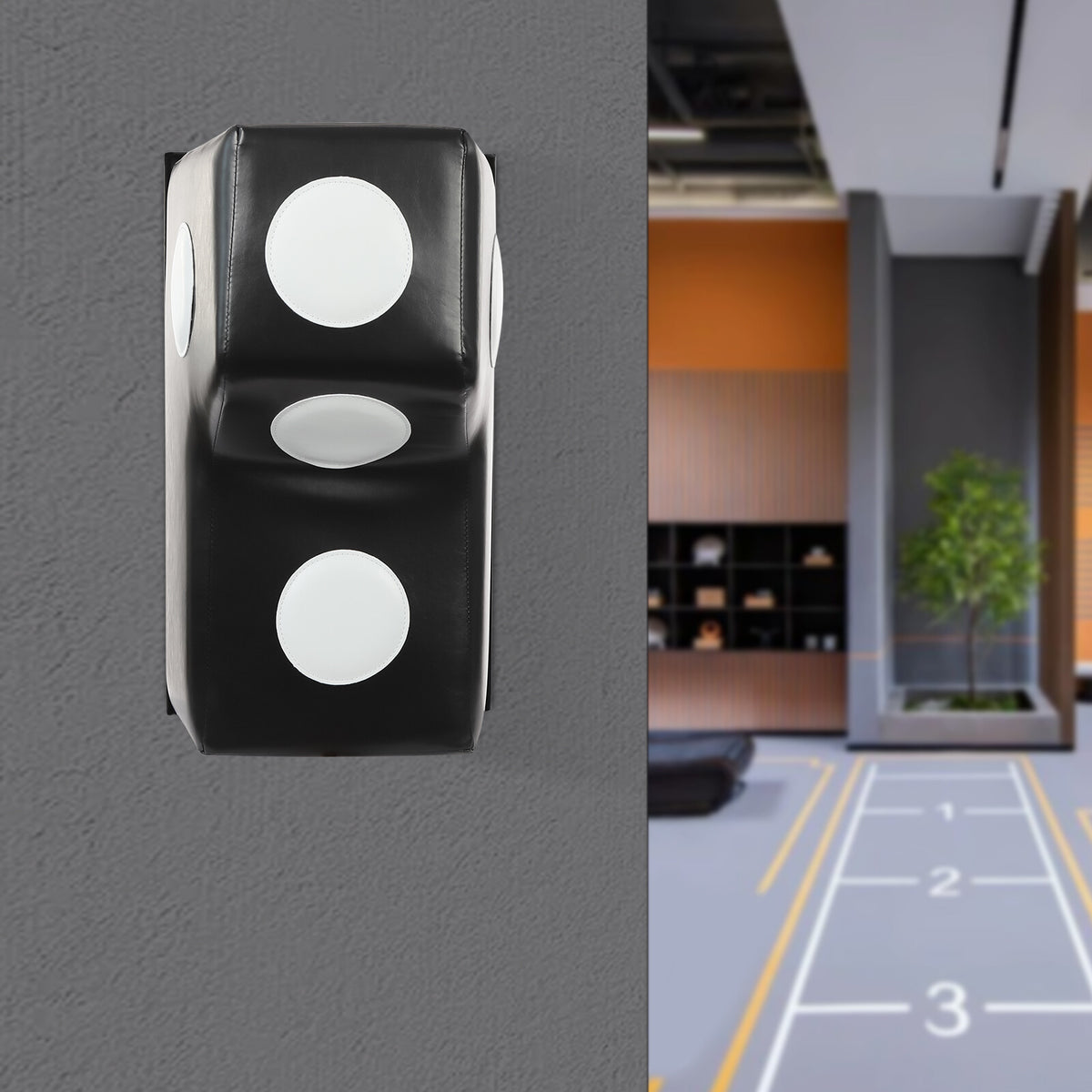 Wall Mount Boxing Punching Bag for Training & Fitness