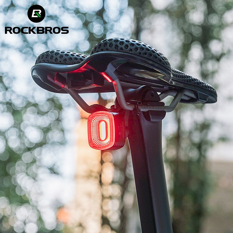 Rear Bike Light with Smart Brake Alert & Flashing Tail Light for Cycling