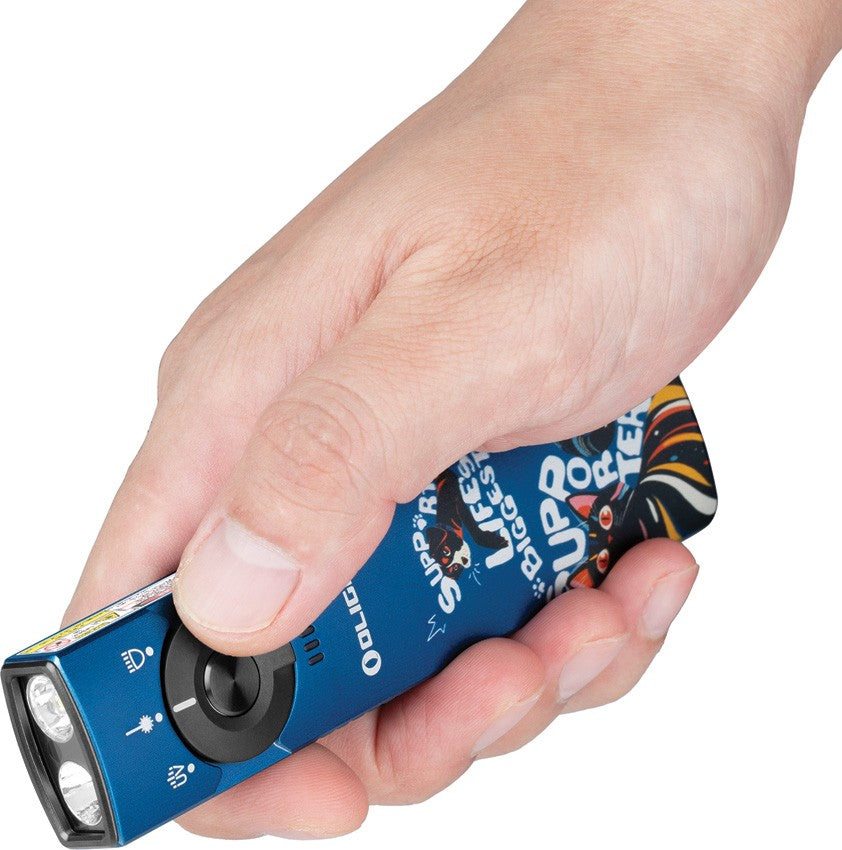 LED Flashlight for Camping, Hiking & Emergency - Portable Handheld Torch