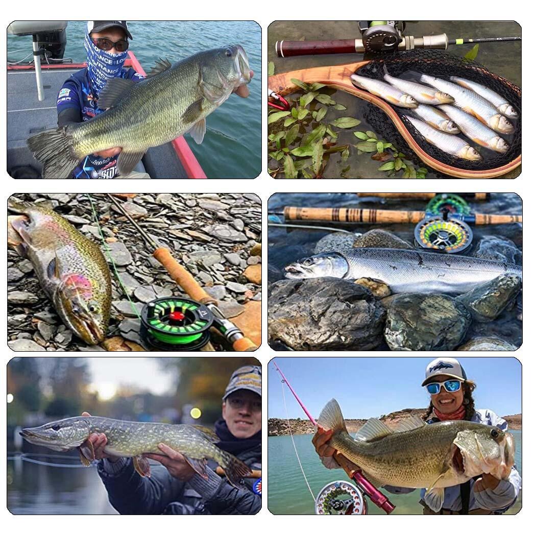 Wet Dry Nymph Fly Fishing Lure Set for Trout & Panfish - Multiple Sizes & Styles