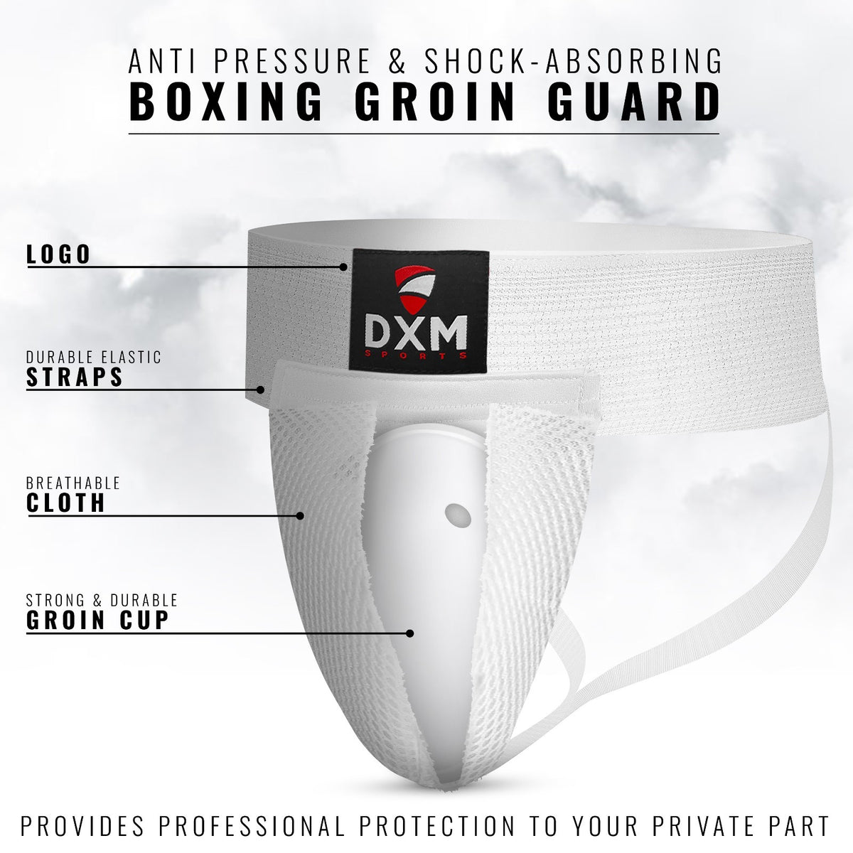 Boxing Groin Protector with Removable Gel Cup - Black/White Mesh