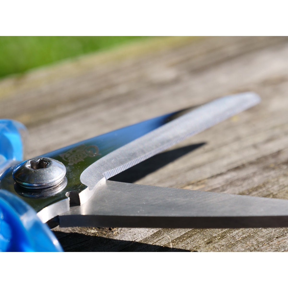 Heavy Duty Blue Fishing Line & Metal Wire Cutting Scissors - Rust-Resistant