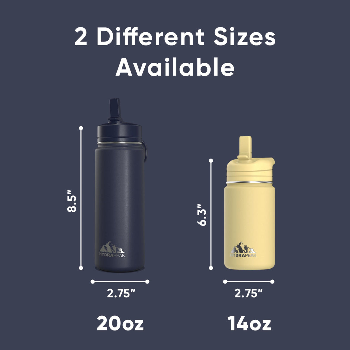 Insulated Stainless Steel Water Bottle with Straw Lid - 14oz BPA Free Navy