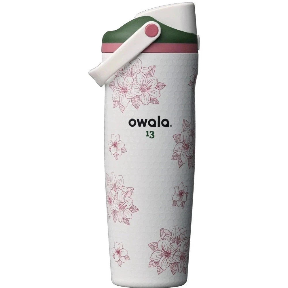30oz Insulated Stainless Steel Water Bottle with Leak-Proof Lid - FreeSip Spout, Free Shipping