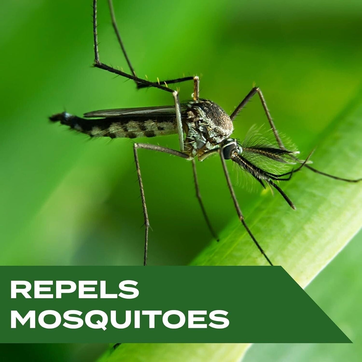 Botanical Mosquito Repellent Wipes - 30 Count Pack of 3, Deet-Free & Safe for Kids & Pets