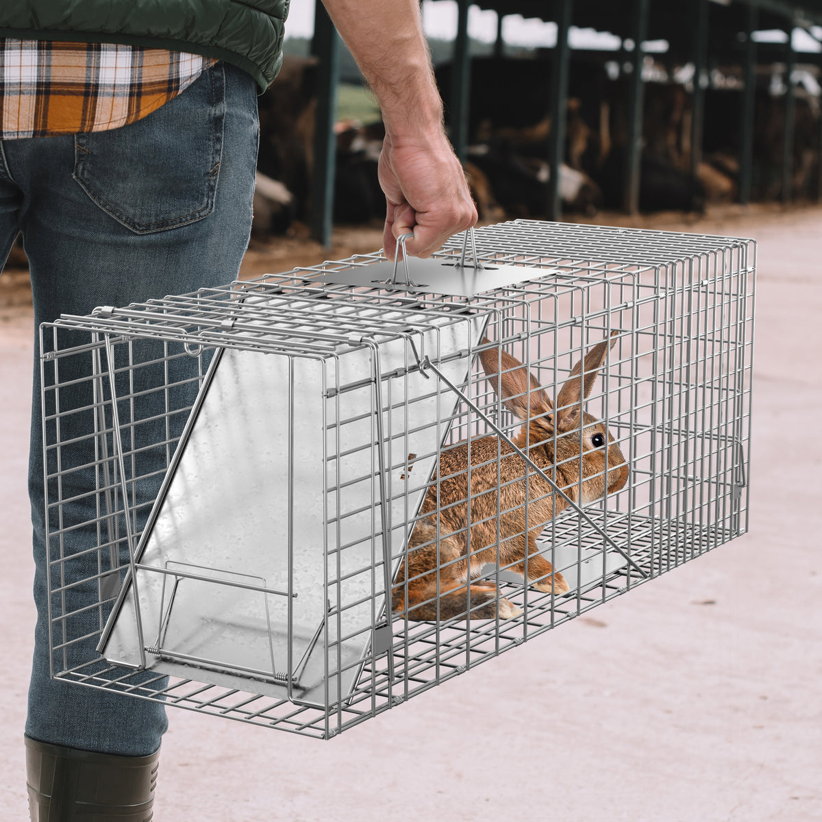 Live Animal Cage Trap 32 x 12.5 x 12 Inches Humane Rodent Raccoon Trap