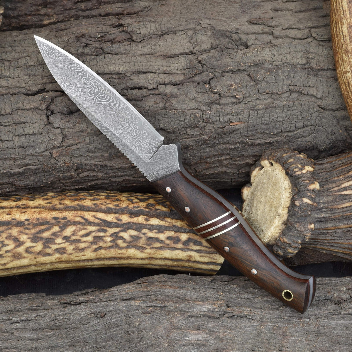 Outdoor Hunting Knife with Damascus Steel Blade & Rosewood Handle - 8.5 Inch