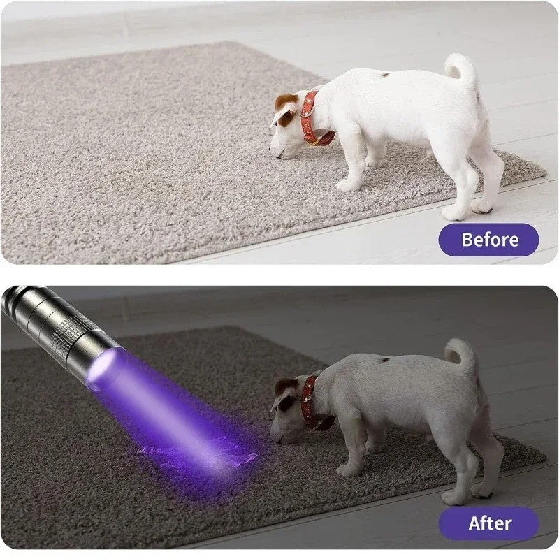 UV Pen Light 395nm Black Light Portable UV Flashlight Mini for Scorpions Pets Detection