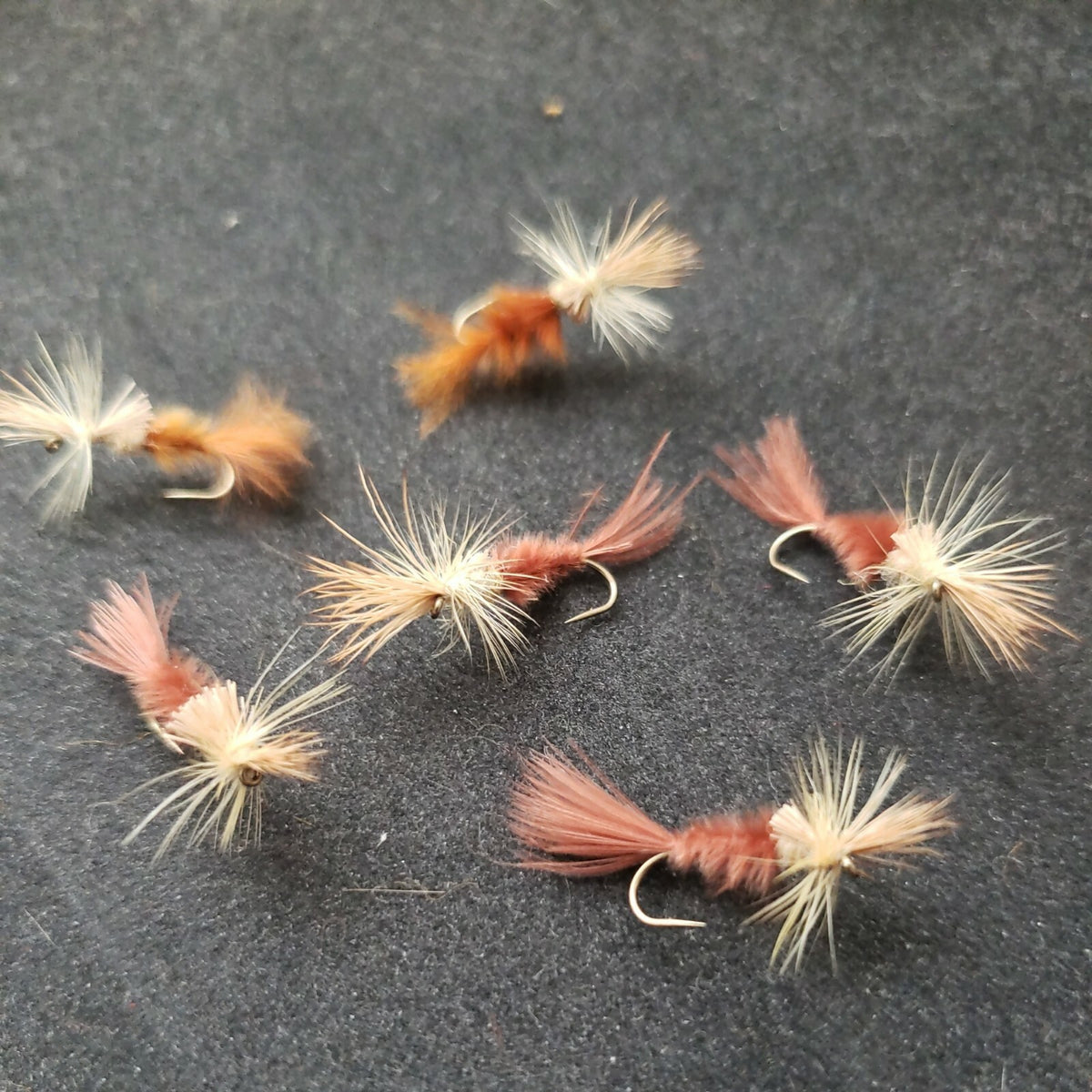 Trout Dry Fly Size 20 Cripple PMD Pale Morning Dun Fishing Flies - Frontier Fly Co