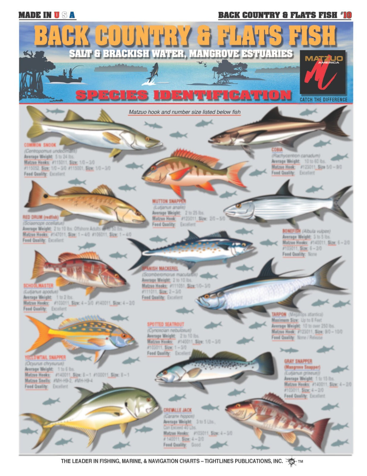 Saltwater Fish Identification Set Waterproof Quick Reference Guide for Anglers