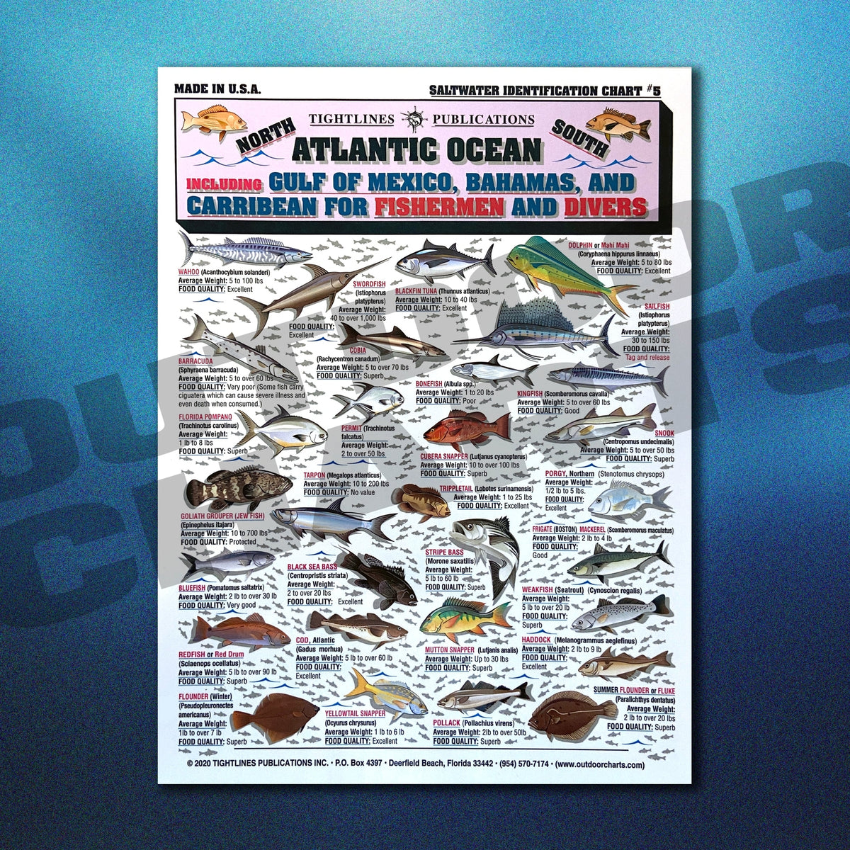 Saltwater Fish Identification Chart Waterproof Guide for Atlantic, Gulf, Bahamas